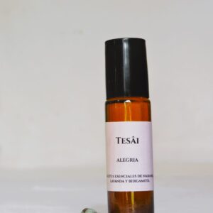 whatsapp image 2026 02 19 at 7.41.35 pm (1)