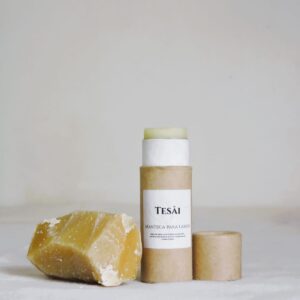 whatsapp image 2026 02 19 at 7.41.41 pm (1)