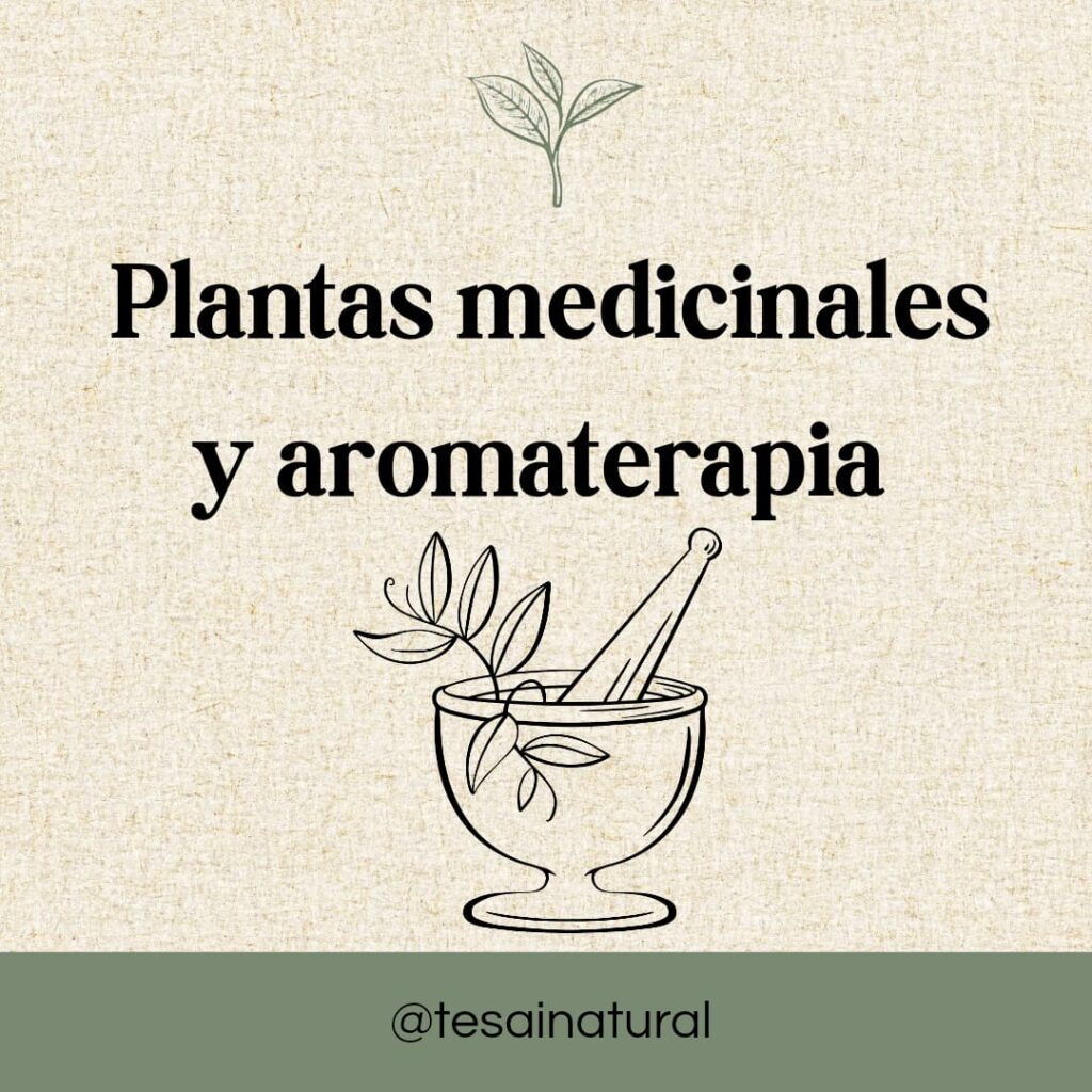 Sesiones whatsapp image 2026 02 23 at 1.25.12 pm