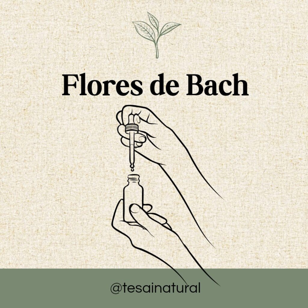 Sesiones whatsapp image 2026 02 23 at 1.25.19 pm