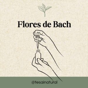 whatsapp image 2026 02 23 at 1.25.19 pm